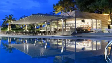 Blue Dolphin