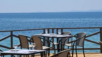 Blue Dolphin