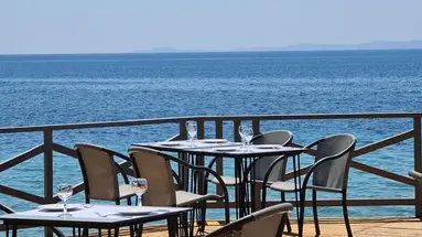 Blue Dolphin