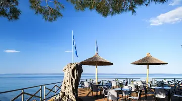 Blue Dolphin