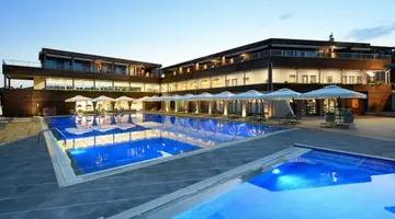 BLUE DOLPHIN