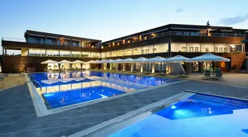 Blue Dolphin