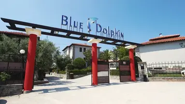 Blue Dolphin