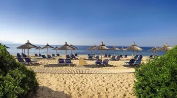 Blue Dolphin