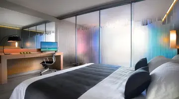 Blue Dolphin