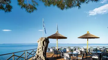 Blue Dolphin
