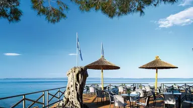 Blue Dolphin