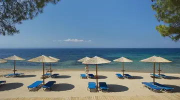Blue Dolphin