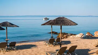 Blue Dolphin