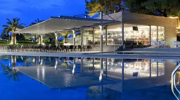 BLUE DOLPHIN