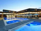 Blue Dolphin