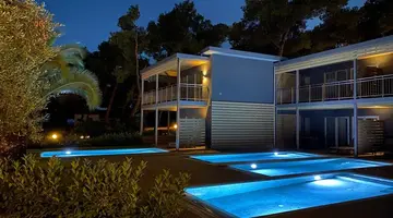 Blue Dolphin