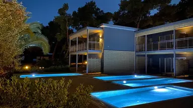 Blue Dolphin
