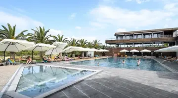 Blue Dolphin