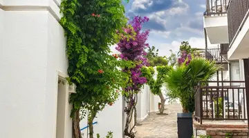 BLUE DREAMS RESORT