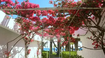 BLUE HORIZON PALM BEACH HOTEL
