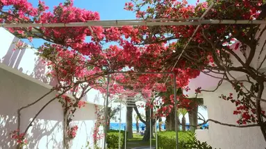BLUE HORIZON PALM BEACH HOTEL