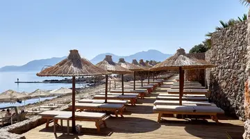 Blue Marine Resort and Spa