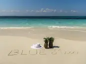 Blue Moon
