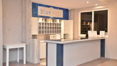 Blue Nest