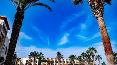 Blue Reef Resort