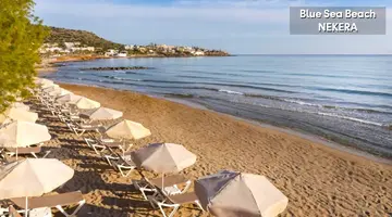 Blue Sea Beach Affiliated by Melia