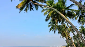 Blue Water