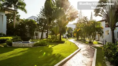 BlueBay Villas Doradas