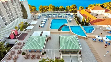 Bluesun Alga
