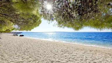 Bluesun Hotel Alga