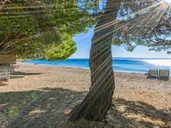 Bluesun Hotel Alga