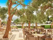 Bluesun Hotel Neptun & depandans Maslinik