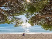 Bluesun Hotel Neptun & depandans Maslinik