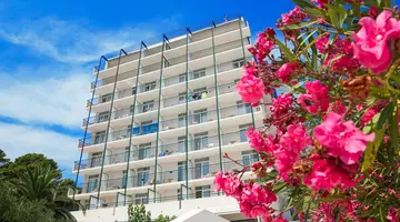 Bluesun Hotel Neptun & depandans Maslinik