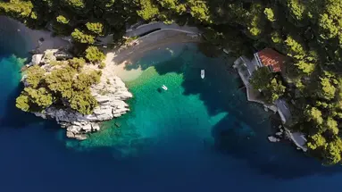 Bluesun Mala Berulia