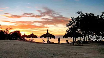 Bluewater Panglao Beach Resort