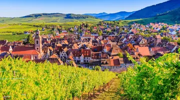 [BNP PLATINUM] Francuski GRAND EST Alzacja, Lotaryngia, Szampania