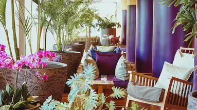 Bohemia Suites and Spa