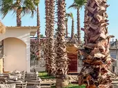 Bonita Luxury Resort