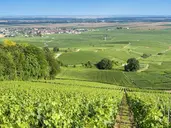 Bonjour Francjo!