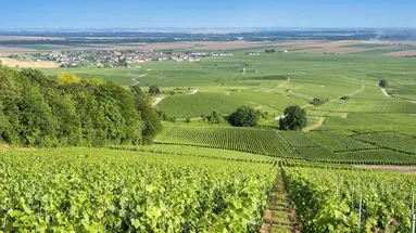 Bonjour Francjo!