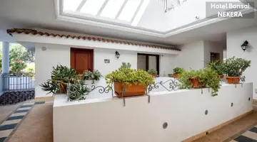 BONSAI HOTEL