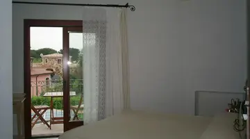 Bonsai
