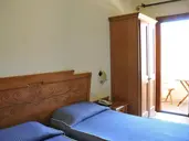 Bonsai