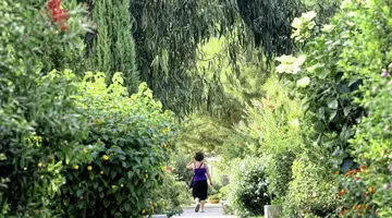 Borgo del Principe