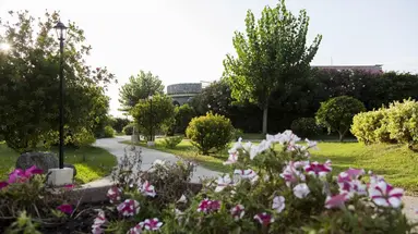 Borgo del Principe