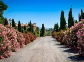 Borgo Verde