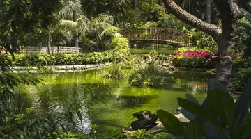 Botanico