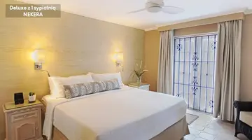 Bougainvillea Barbados