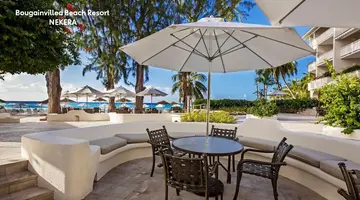 Bougainvillea Barbados
